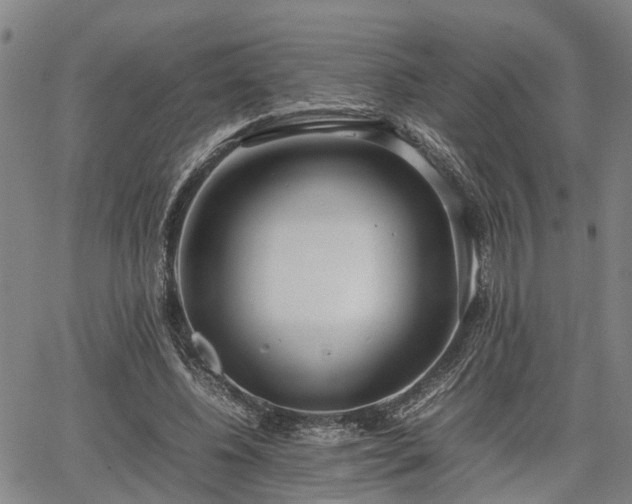 X0000064750540200602131229