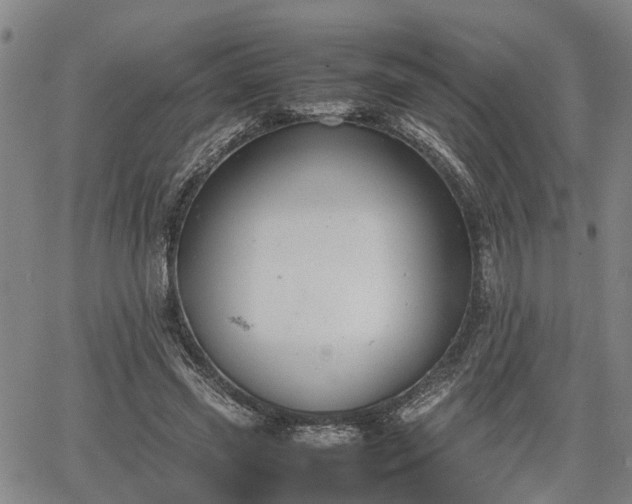 X0000064750541200602131229