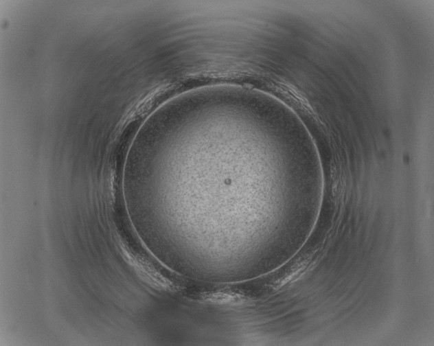 X0000064750542200602131229