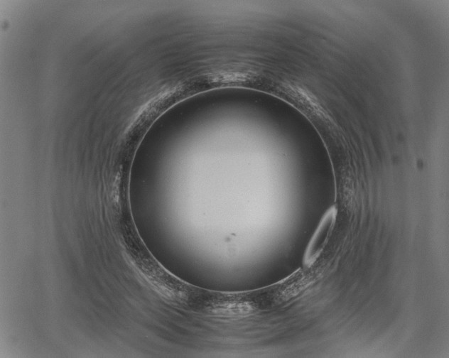 X0000064750543200602131229