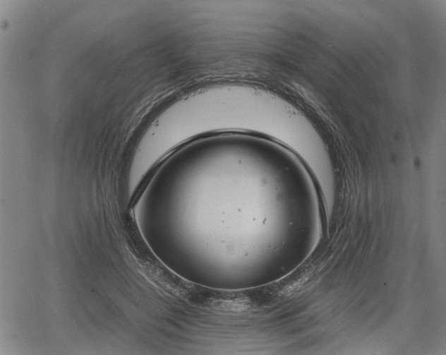 X0000064750548200602131229