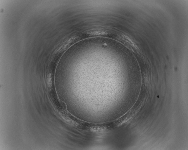 X0000064750549200602131229