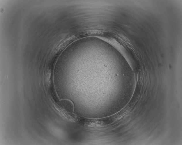 X0000064750550200602131229