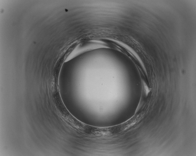 X0000064750552200602131229