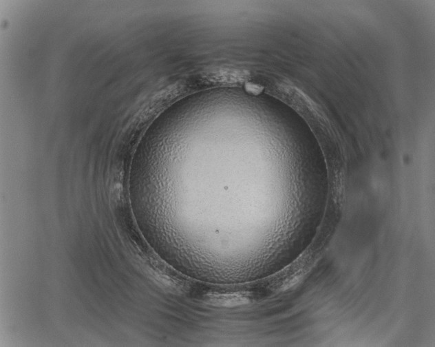 X0000064750553200602131229