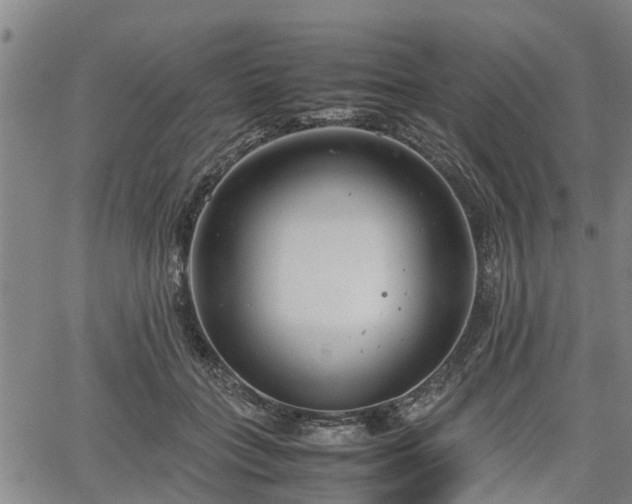 X0000064750555200602131229