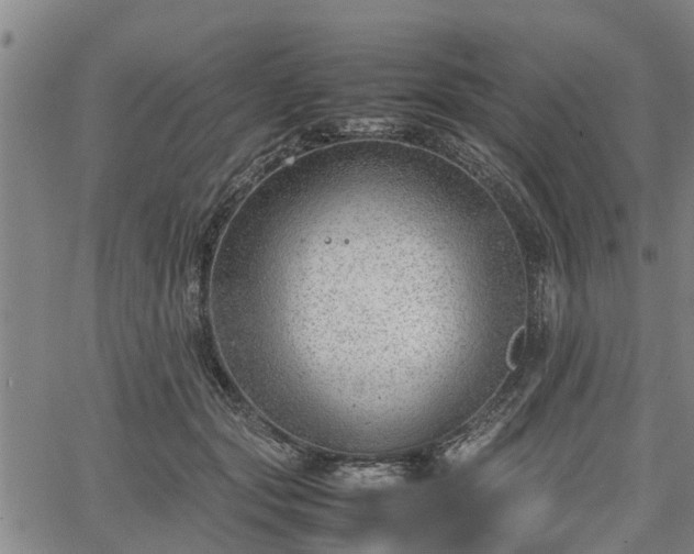 X0000064750557200602131229