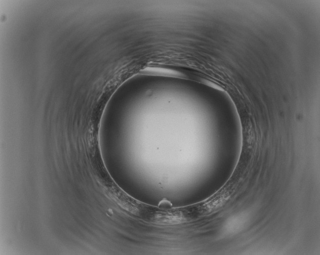 X0000064750559200602131229