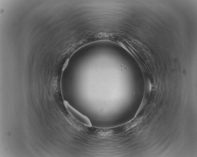 X0000064750560200602131229