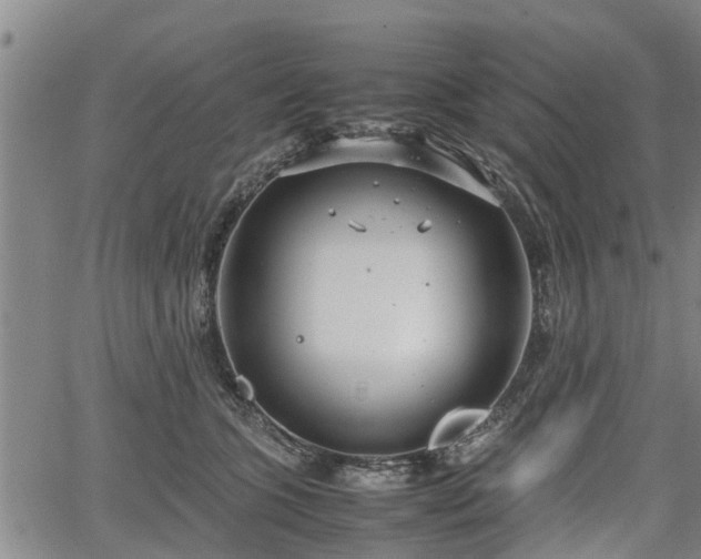 X0000064750563200602131229