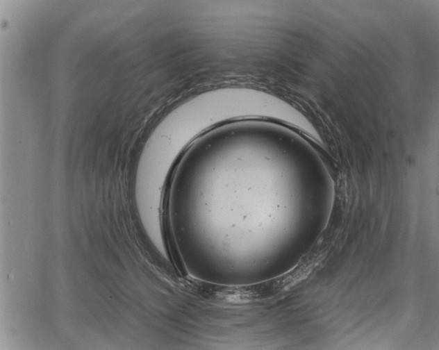 X0000064750564200602131229