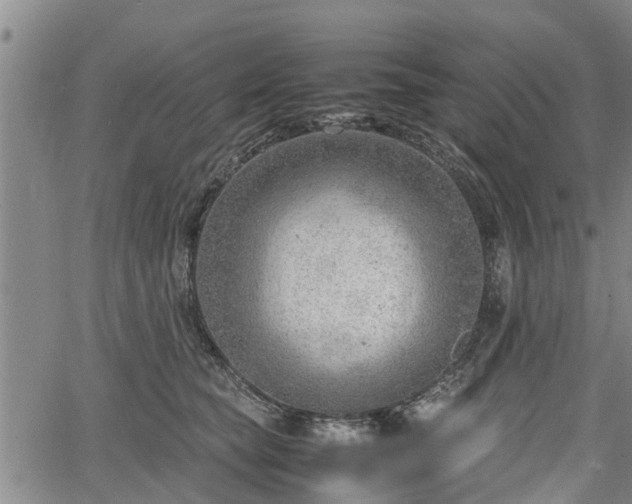 X0000064750565200602131229