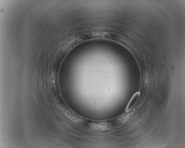 X0000064750567200602131229