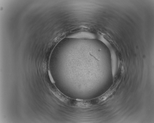 X0000064750568200602131229