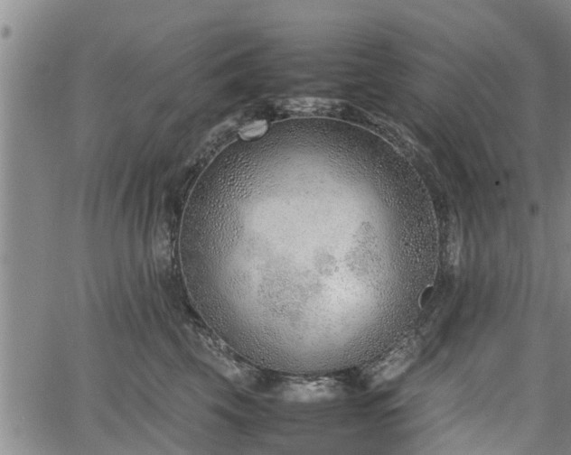 X0000064750569200602131229