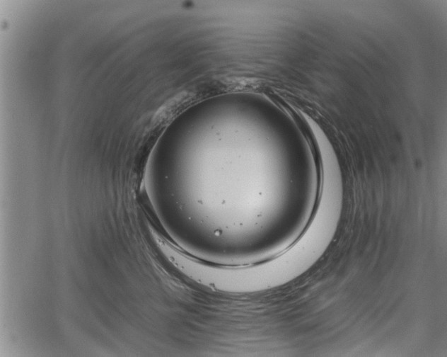 X0000064750570200602131229