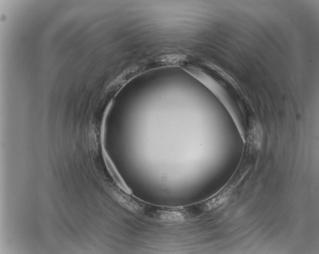 X0000064750572200602131229