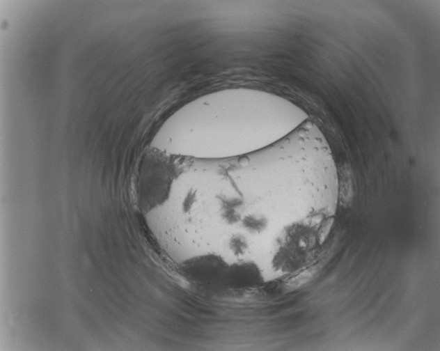 X0000064750573200602131229