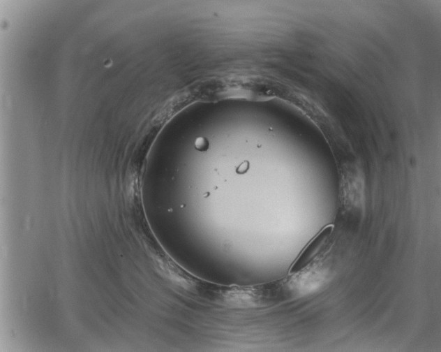 X0000064750574200602131229