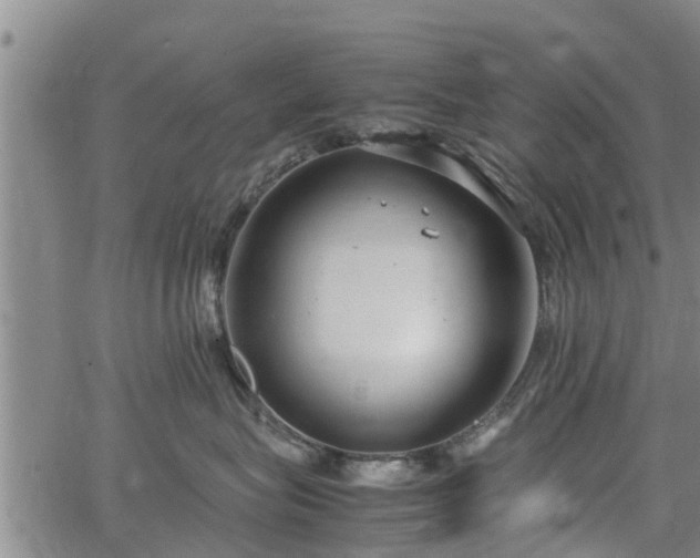 X0000064750575200602131229