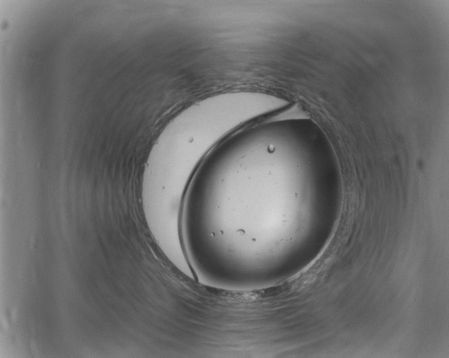 X0000064750576200602131229