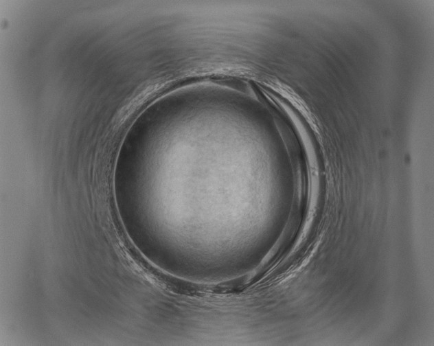 X0000064750577200602131229