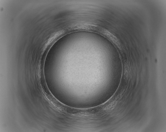 X0000064750578200602131229