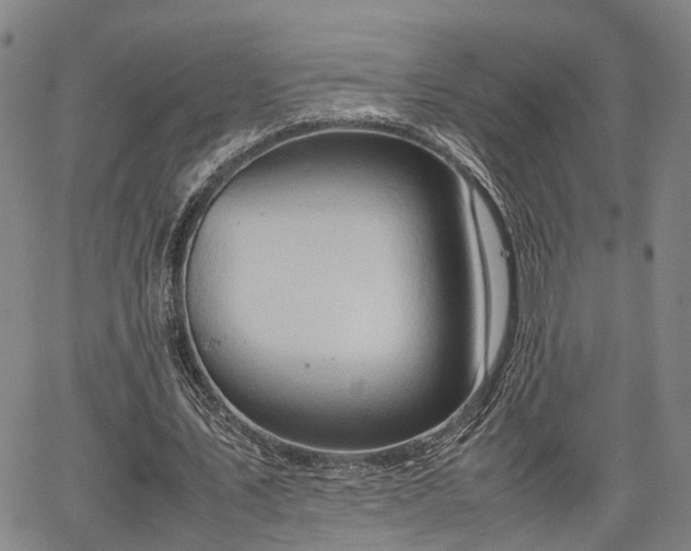 X0000064750579200602131229