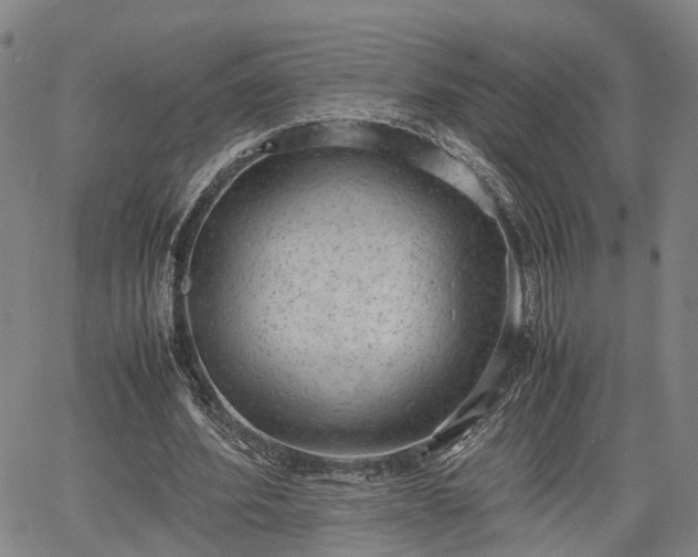 X0000064750580200602131229