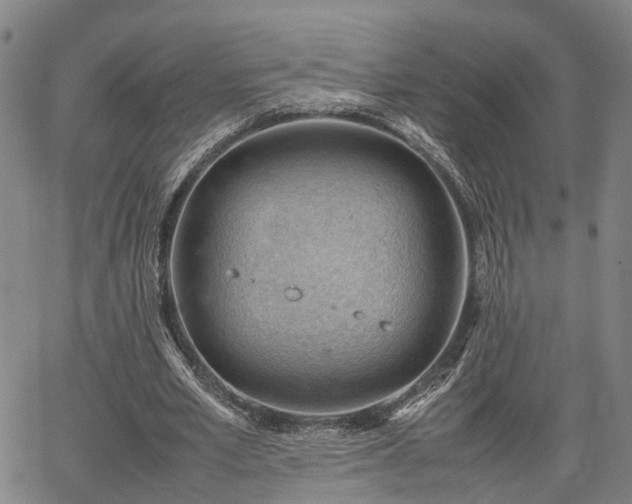 X0000064750581200602131229