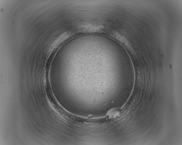 X0000064750582200602131229