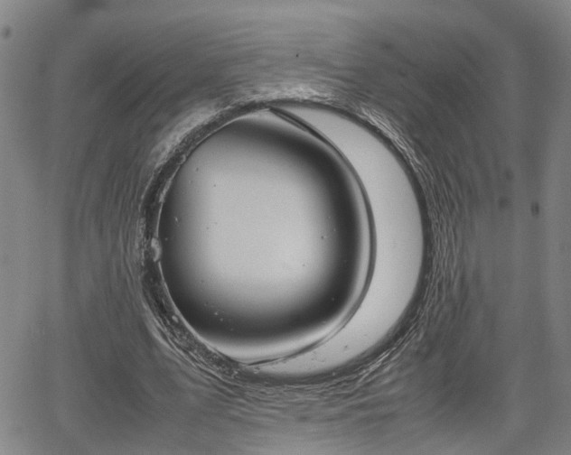 X0000064750583200602131229