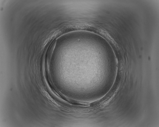 X0000064750585200602131229