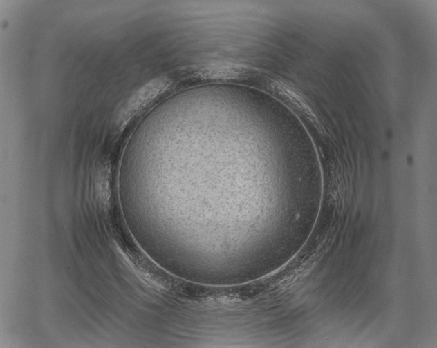 X0000064750586200602131229