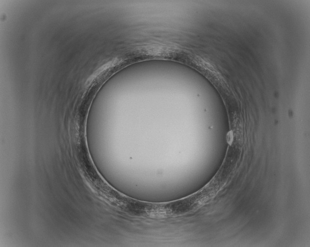 X0000064750587200602131229