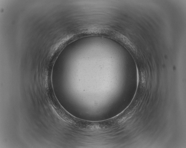 X0000064750588200602131228