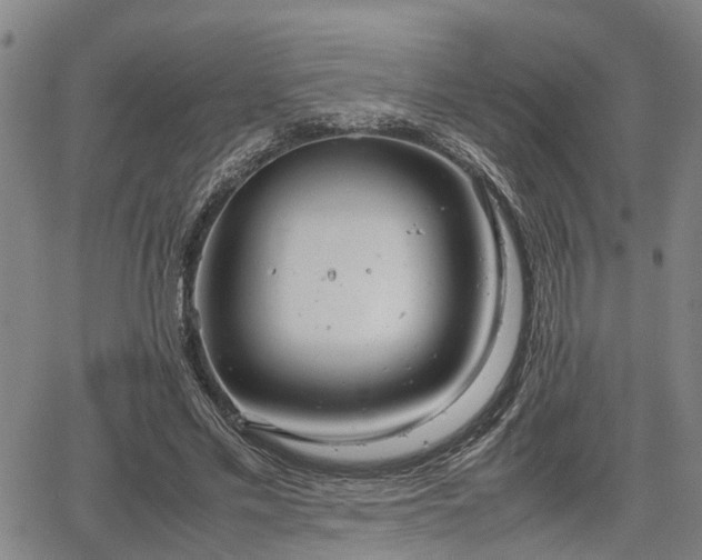 X0000064750589200602131228