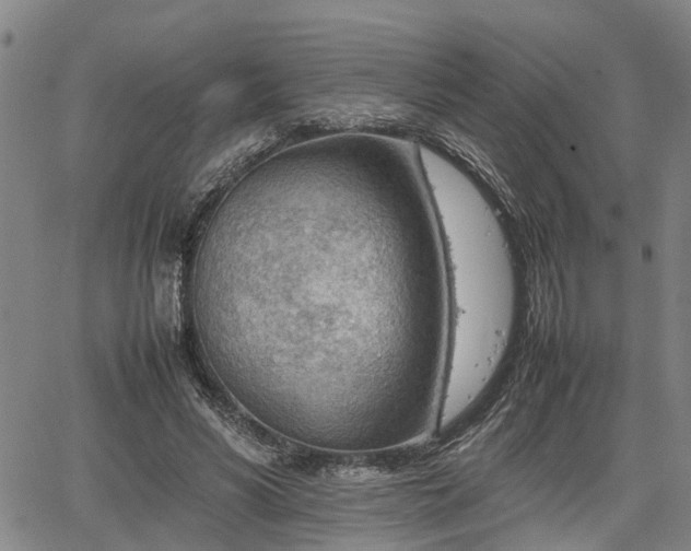 X0000064750590200602131228