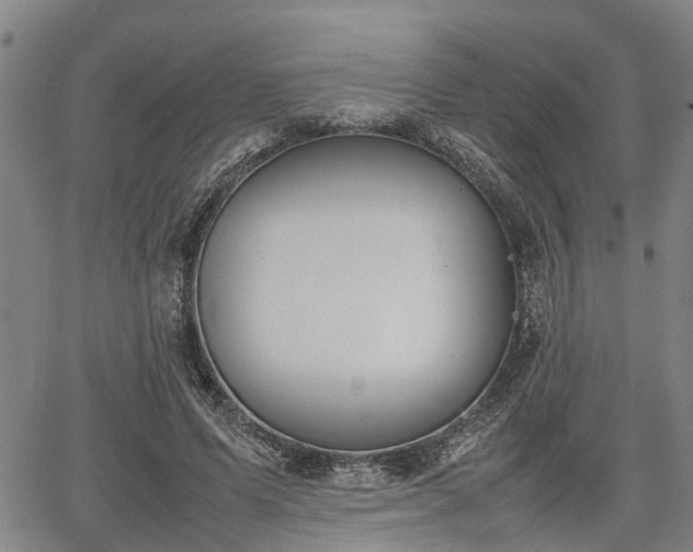 X0000064750591200602131228