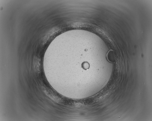 X0000064750592200602131228