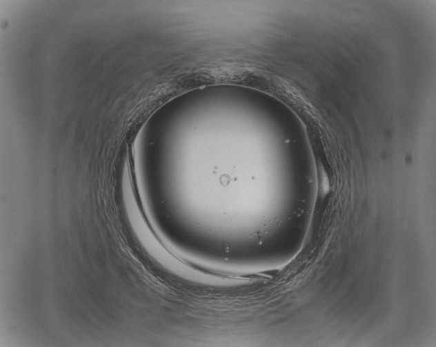 X0000064750593200602131228