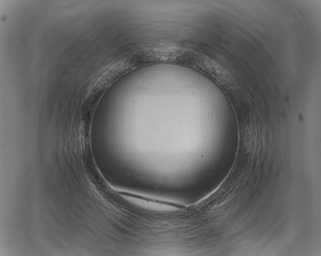 X0000064750594200602131228