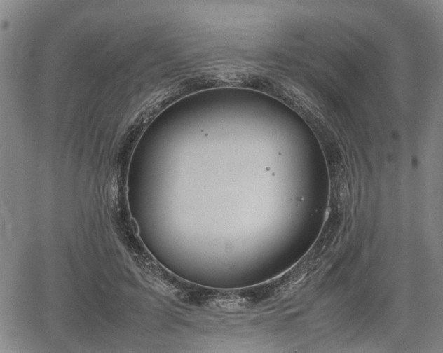 X0000064750595200602131228