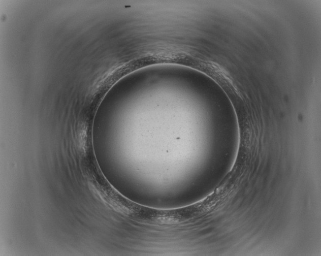 X0000064750596200602131228