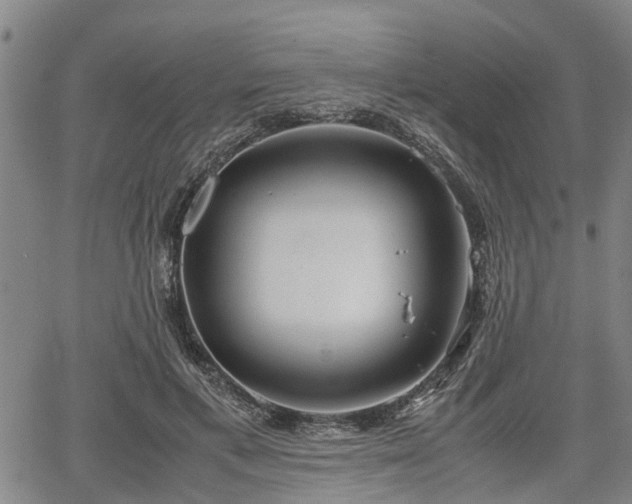 X0000064750597200602131228