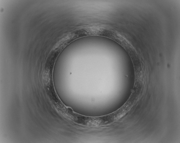 X0000064750599200602131228