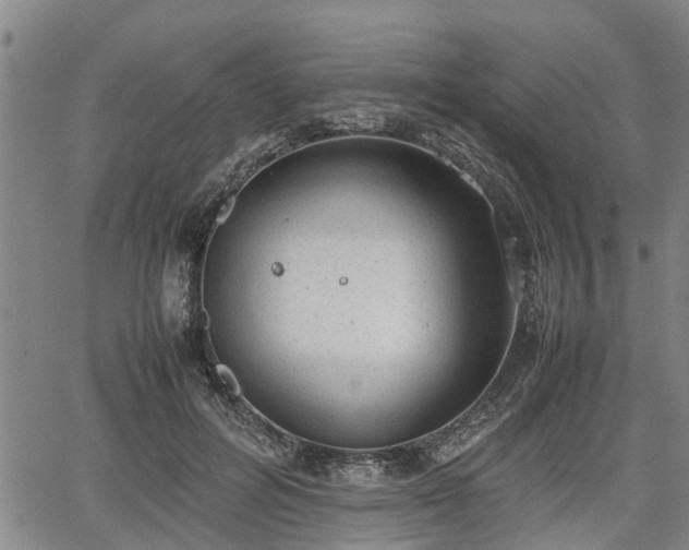 X0000064750600200602131228