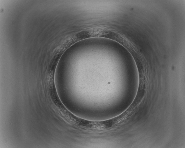 X0000064750601200602131228