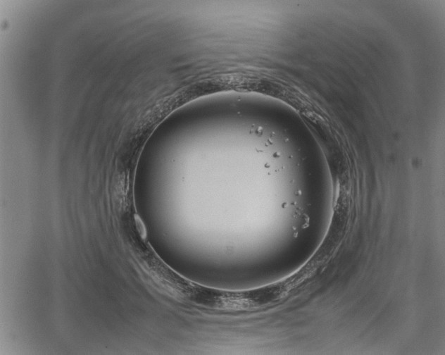 X0000064750605200602131228