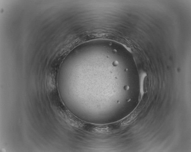 X0000064750606200602131228